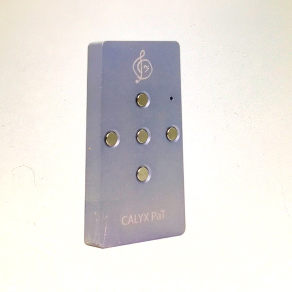 Calyx PaT Portable USB Digital-To-Analog Converter & Headphone Amplifier